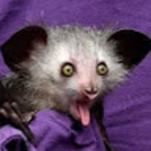 Meet your Posher, Sterling